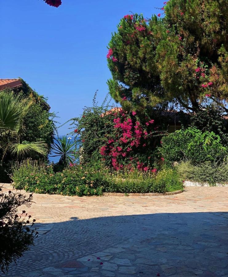 Bellavista Apartments Bougainville Bay Σαράντα Εξωτερικό φωτογραφία